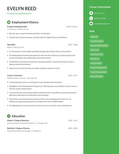 Resume example 4