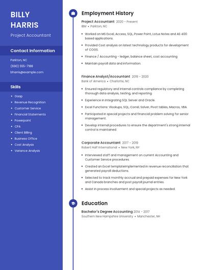Project Accountant Resume
