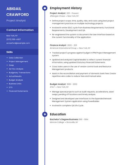 Project Analyst Resume
