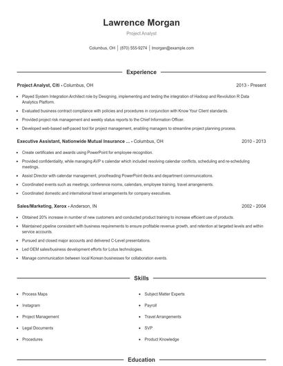 Project Analyst Resume