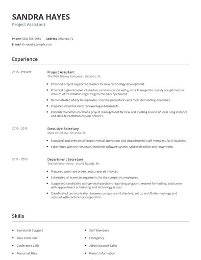 Project Assistant Resume