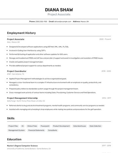 Resume example 2