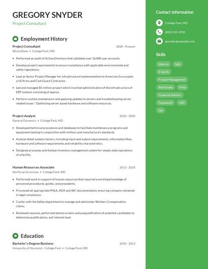 Resume example 5