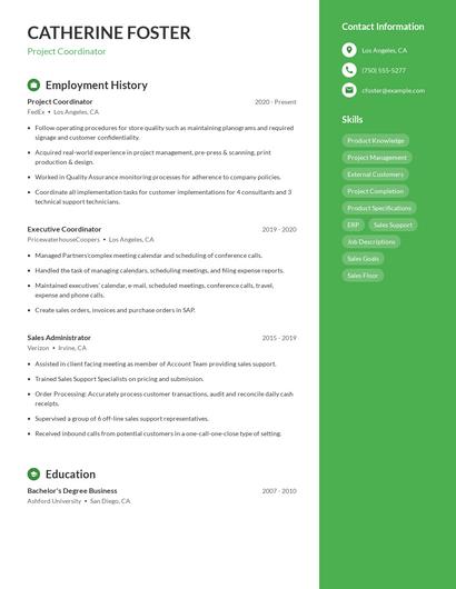 Resume example 5
