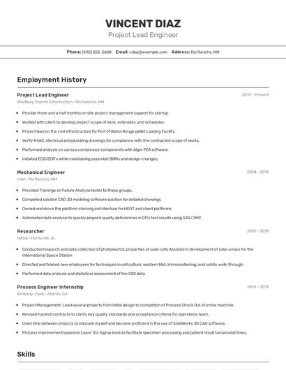 Resume example 2