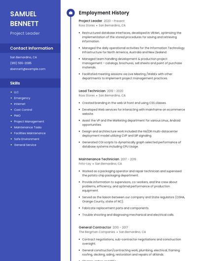 Resume example 5