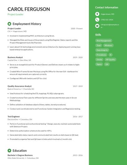 Resume example 4
