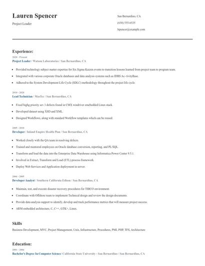 Project Leader Resume