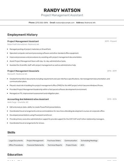Resume example 2