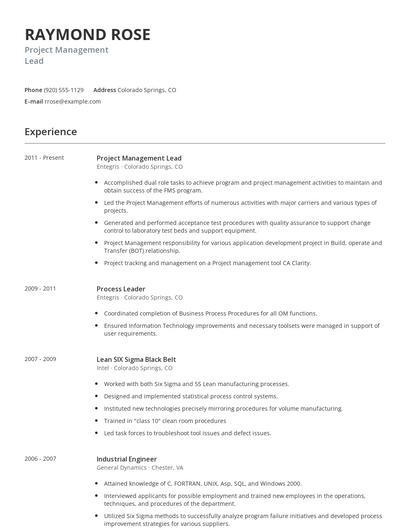 Project Management Lead Resume