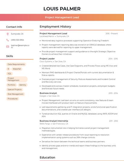 Project Management Lead Resume