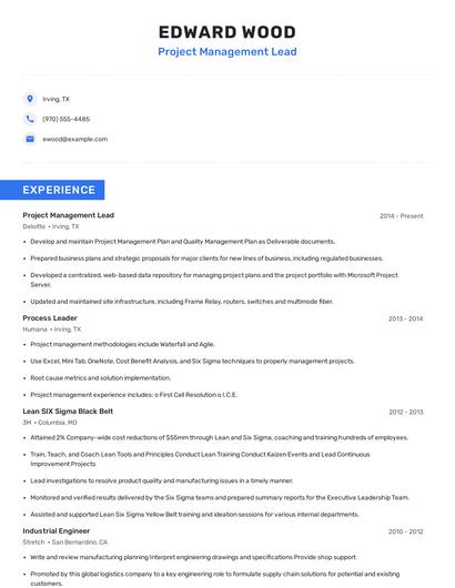 Project Management Lead Resume