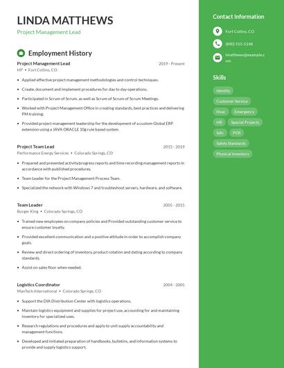 Project Management Lead Resume