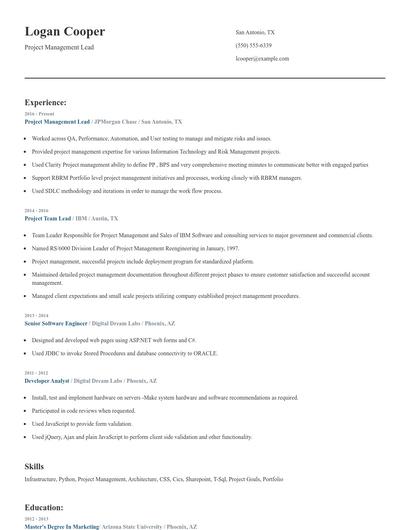 Project Management Lead Resume