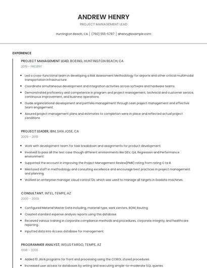 Project Management Lead Resume