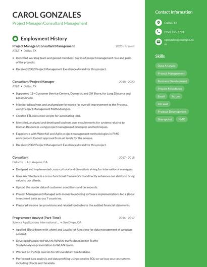 Project Manager/Consultant Management Resume