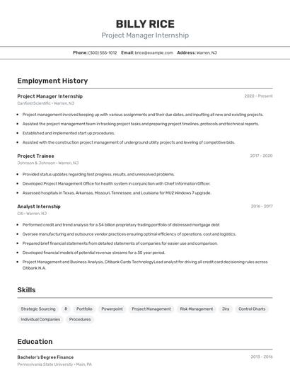 Resume example 2