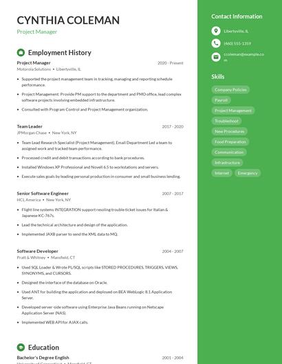 Resume example 4