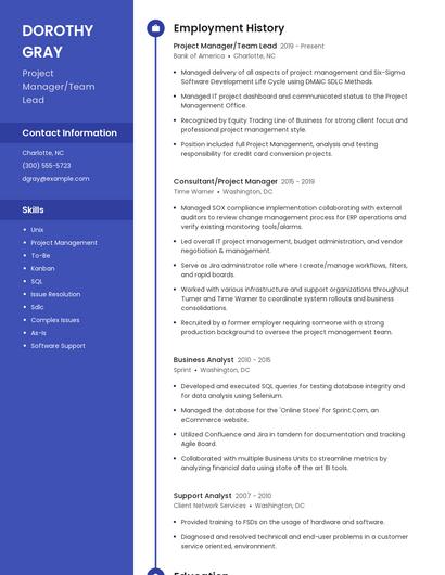 Project Manager/Team Lead Resume