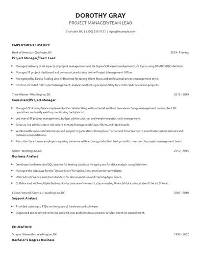 Project Manager/Team Lead Resume