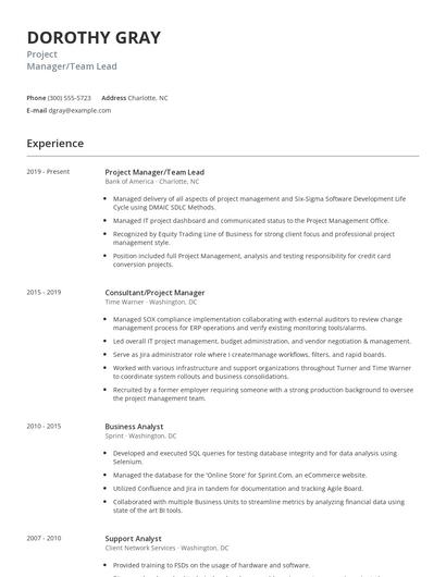 Project Manager/Team Lead Resume