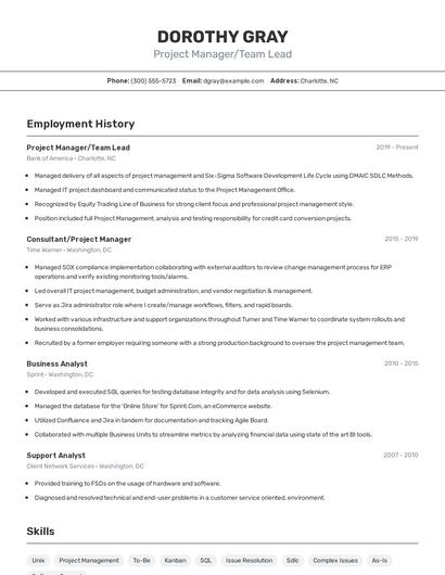 Project Manager/Team Lead Resume