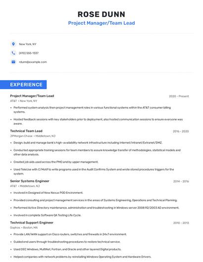 Project Manager/Team Lead Resume