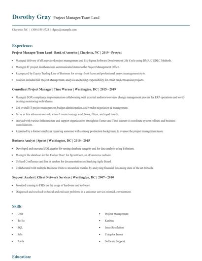 Project Manager/Team Lead Resume