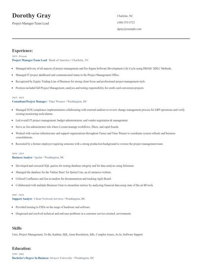 Project Manager/Team Lead Resume