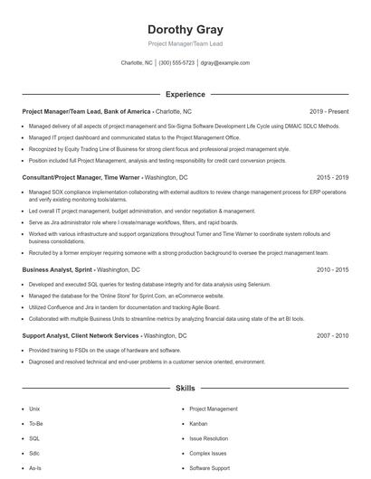 Project Manager/Team Lead Resume