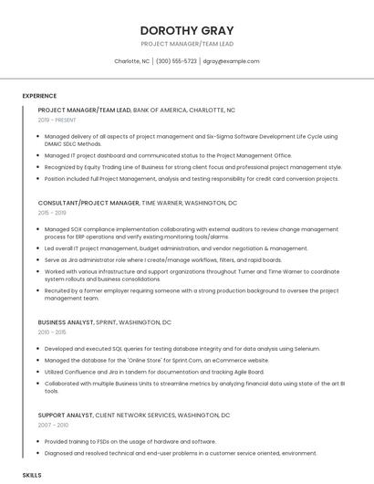 Project Manager/Team Lead Resume