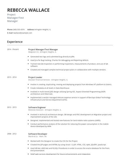 Project Manager/Test Manager Resume