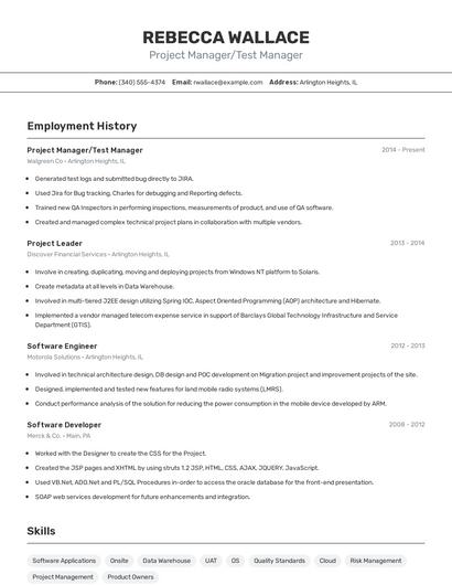 Project Manager/Test Manager Resume
