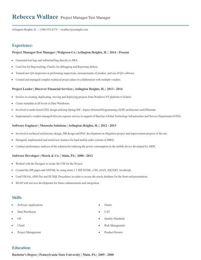 Project Manager/Test Manager Resume
