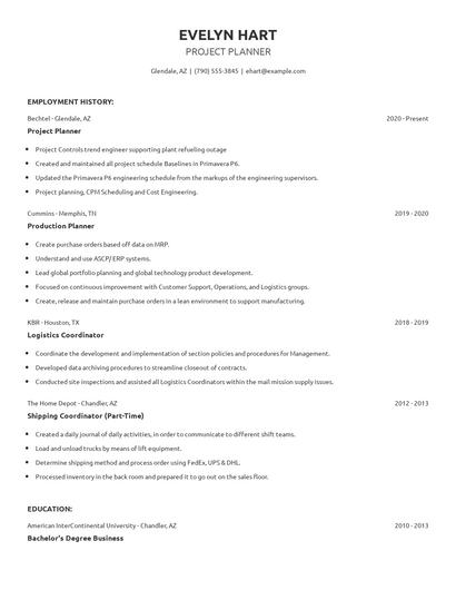 Project Planner Resume