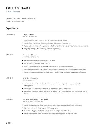 Project Planner Resume