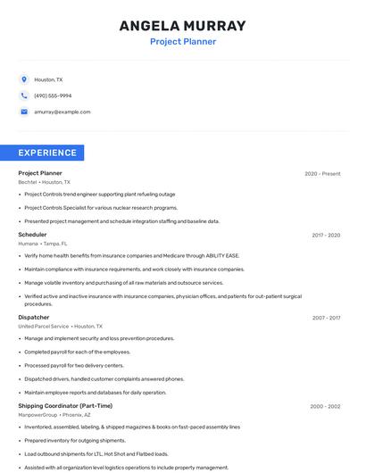 Project Planner Resume