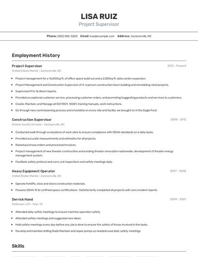 Resume example 2