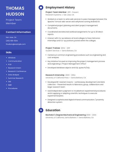 Project Team Member Resume