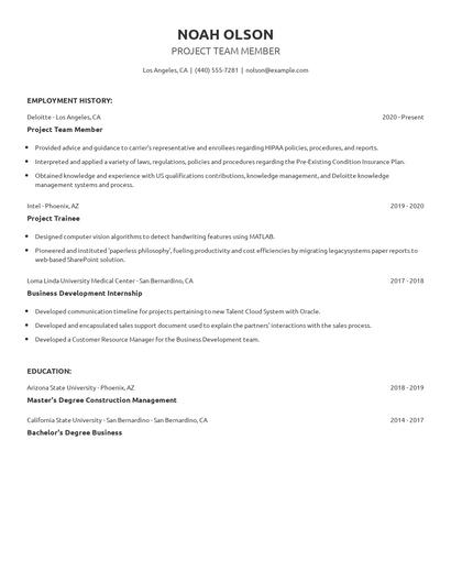 Project Team Member Resume