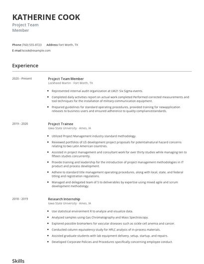 Project Team Member Resume
