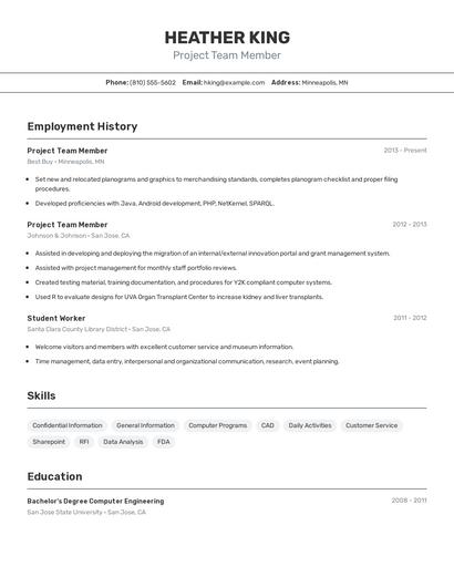 Project Team Member Resume