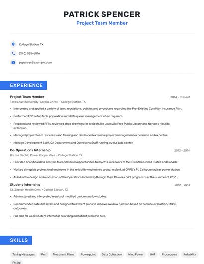Project Team Member Resume