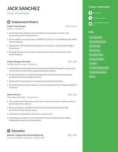 Project Team Member Resume