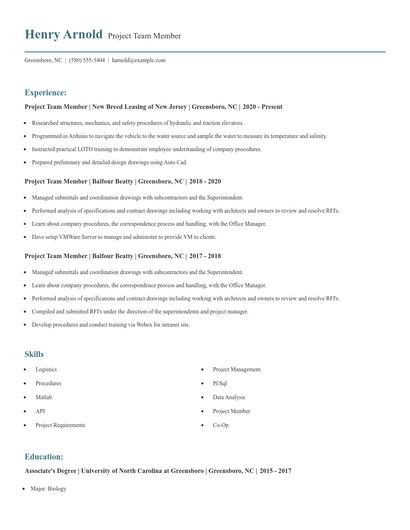 Project Team Member Resume