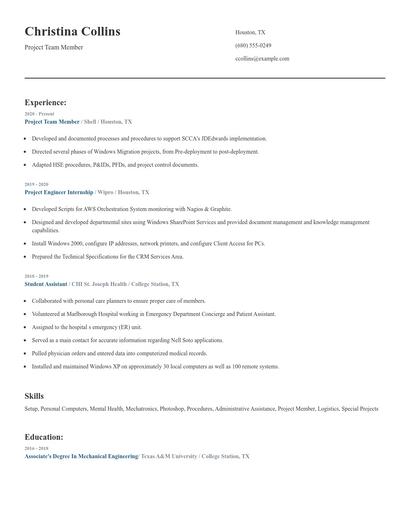 Project Team Member Resume