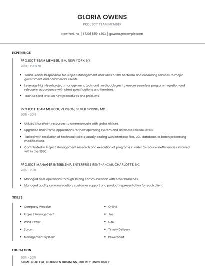 Project Team Member Resume