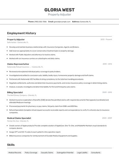 Resume example 2