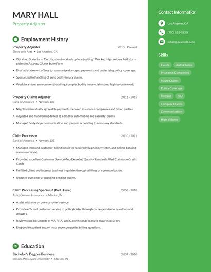 Resume example 5