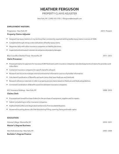 Property Claims Adjuster Resume